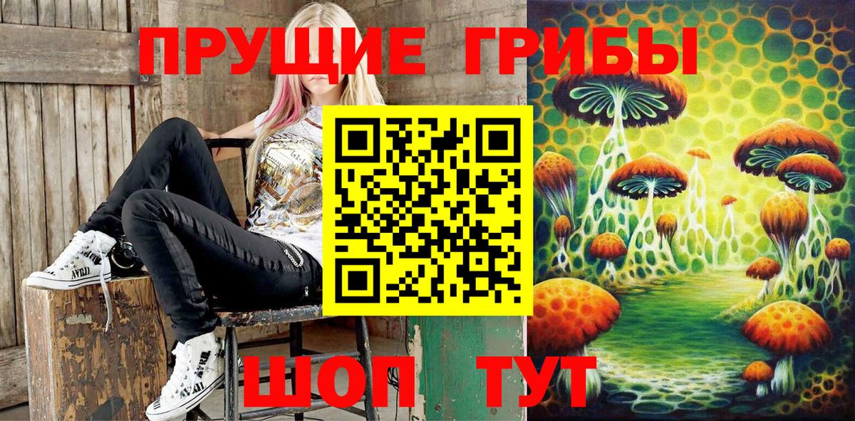 Псилоцибиновые грибы Magic Shrooms  Вход с VPN  Сибай 